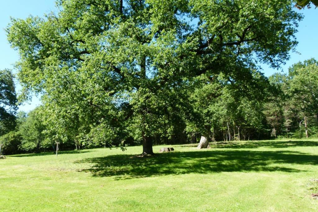 Gite En Brenne Les Chenes Merigny Buitenkant foto