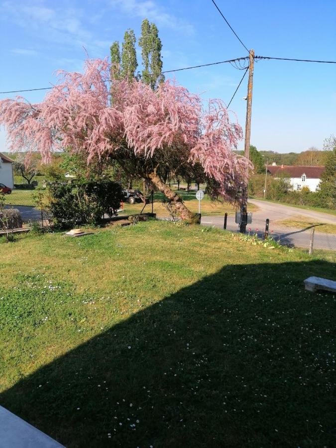 Gite En Brenne Les Chenes Merigny Buitenkant foto